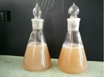 纳米微脂囊产品