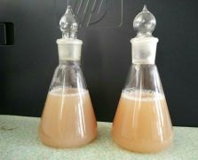 纳米微脂囊产品